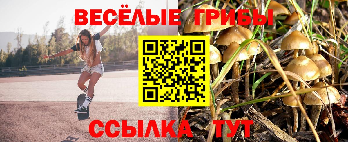 Галлюциногенные грибы Cubensis Новый Уренгой