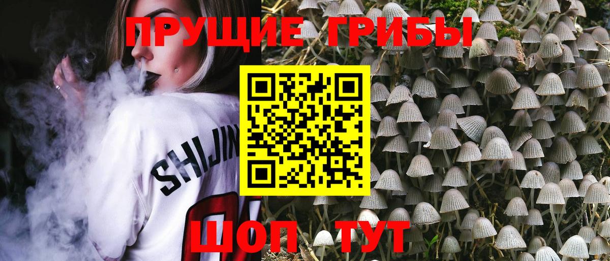 Псилоцибиновые грибы ЛСД  Галлюциногенные грибы GOLDEN TEACHER  Новый Уренгой  Вход с VPN 